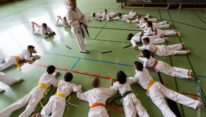 Karate Vorarlberg INNOVATION DAYS 2014 02